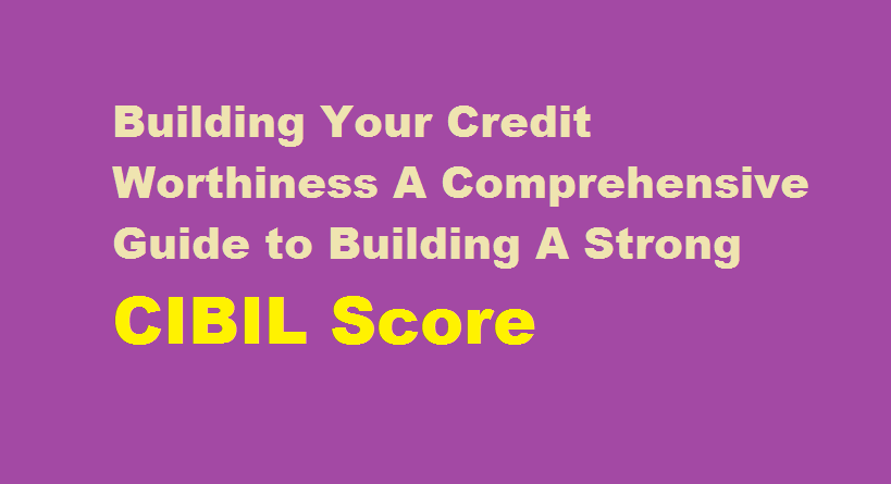 Building Your Creditworthiness A Comprehensive Guide to Building A Strong CIBIL Score