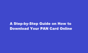 how to download pan card