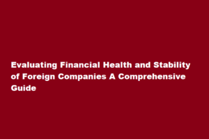 How do I evaluate the financial health and stability of foreign companies