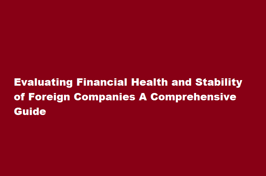 How do I evaluate the financial health and stability of foreign companies