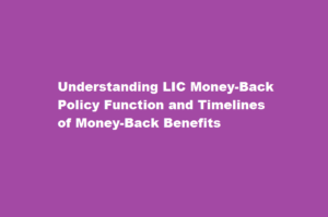 How does an LIC money-back policy function