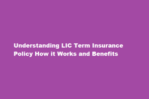 How does an LIC term insurance policy work