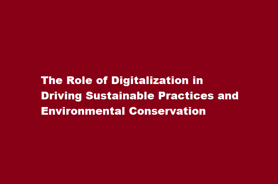 How does digitalization contribute to sustainable practices