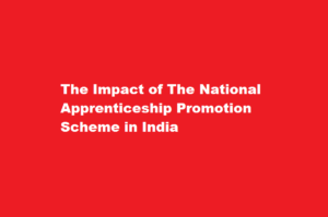 How has the National Apprenticeship Promotion Scheme