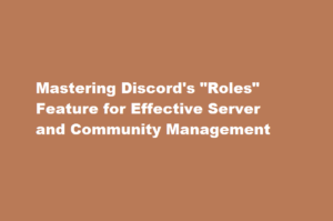 How to use Discord