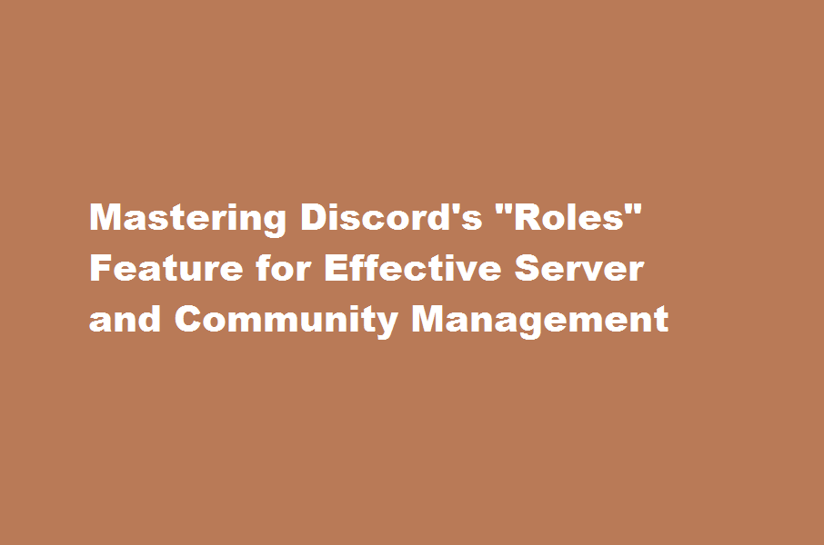 How to use Discord