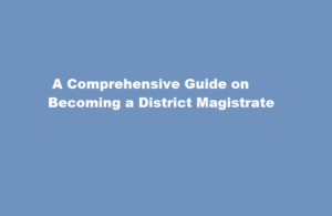 how to be district megistrate