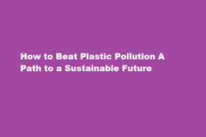 how to beat plastic pollution