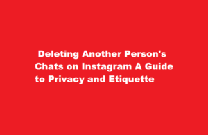 how to delete other person's chats on instagram