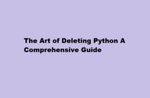 how to learn python
