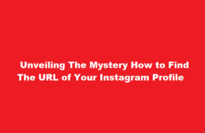 how to find url of my instagram