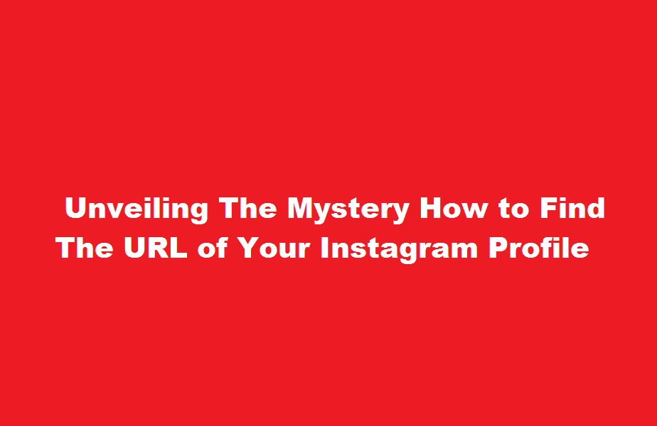 how to find url of my instagram