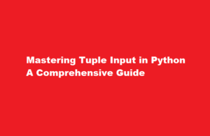 how to input tuple in python