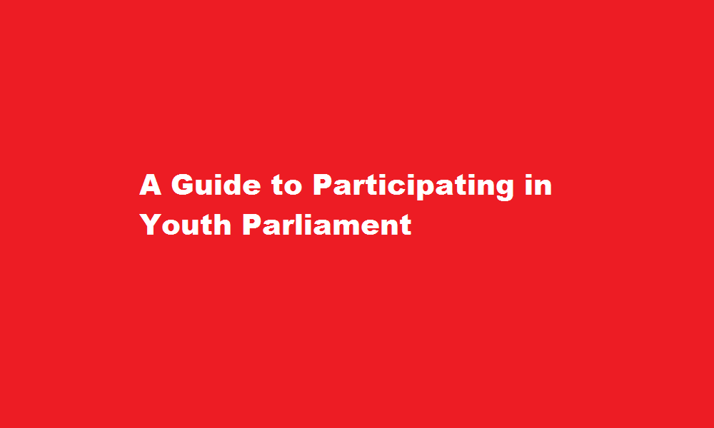 how to participate in youth parliament