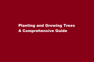 how to plant and grow trees