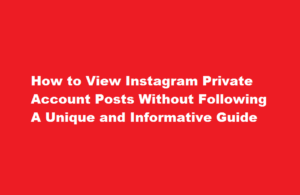 how to see instagram private account posts without following it