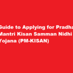 How to apply for Pradhan Mantri Kisan Samman Nidhi Yojana